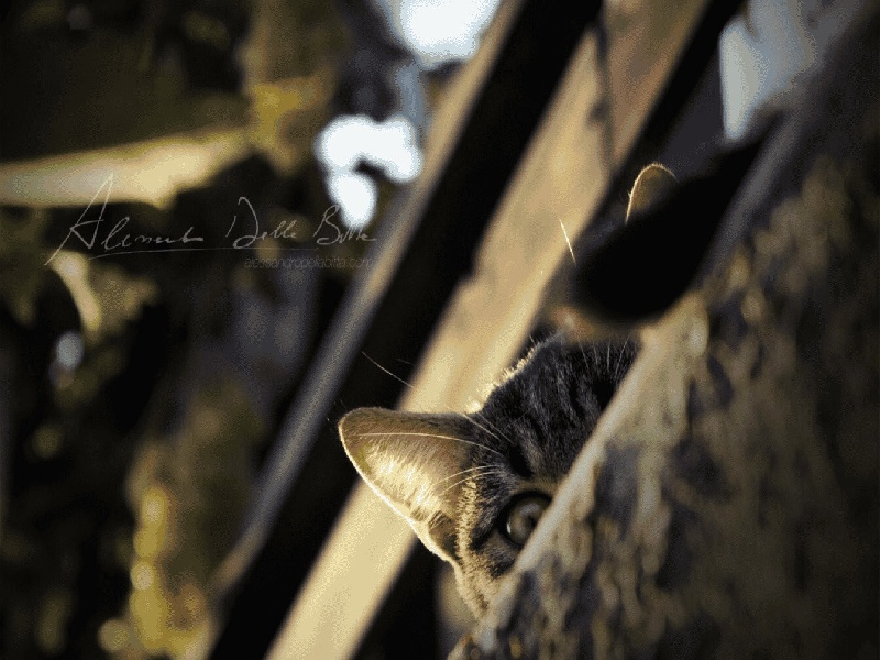 试管锻炼方法视频，试管做宫腔镜最佳时间