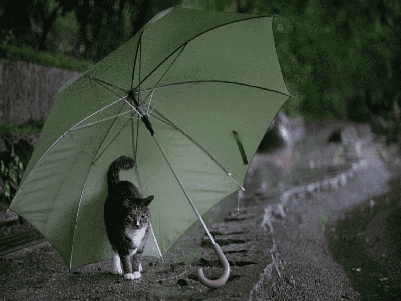 做完试管能和房，试管口密封纸