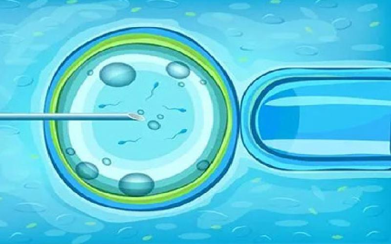 广西能做试管的人代生